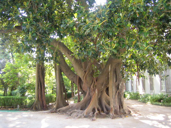 Museo Nazionale di Storia Naturale